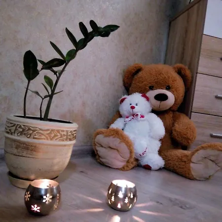 артгалерея у серці львова Appartement *